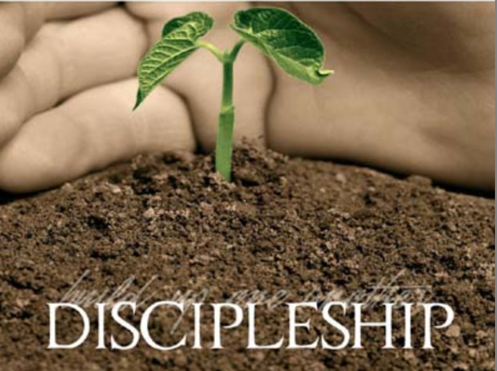 Disciplineship